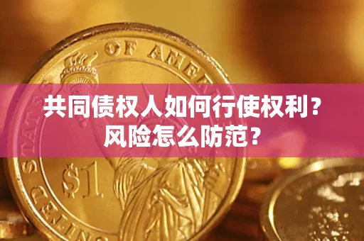 北京共同债权人如何行使权利？风险怎么防范？