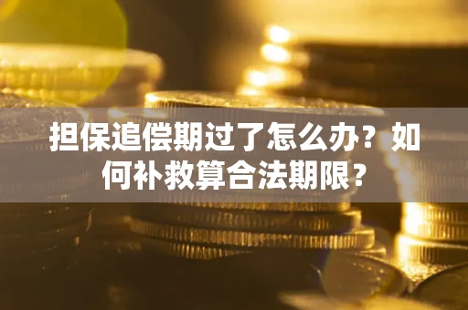 北京担保追偿期过了怎么办？如何补救算合法期限？
