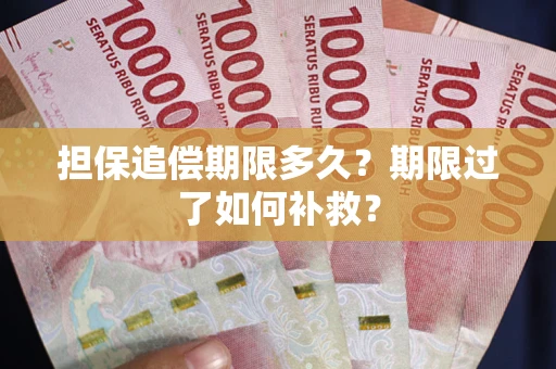 北京担保追偿期限多久？期限过了如何补救？